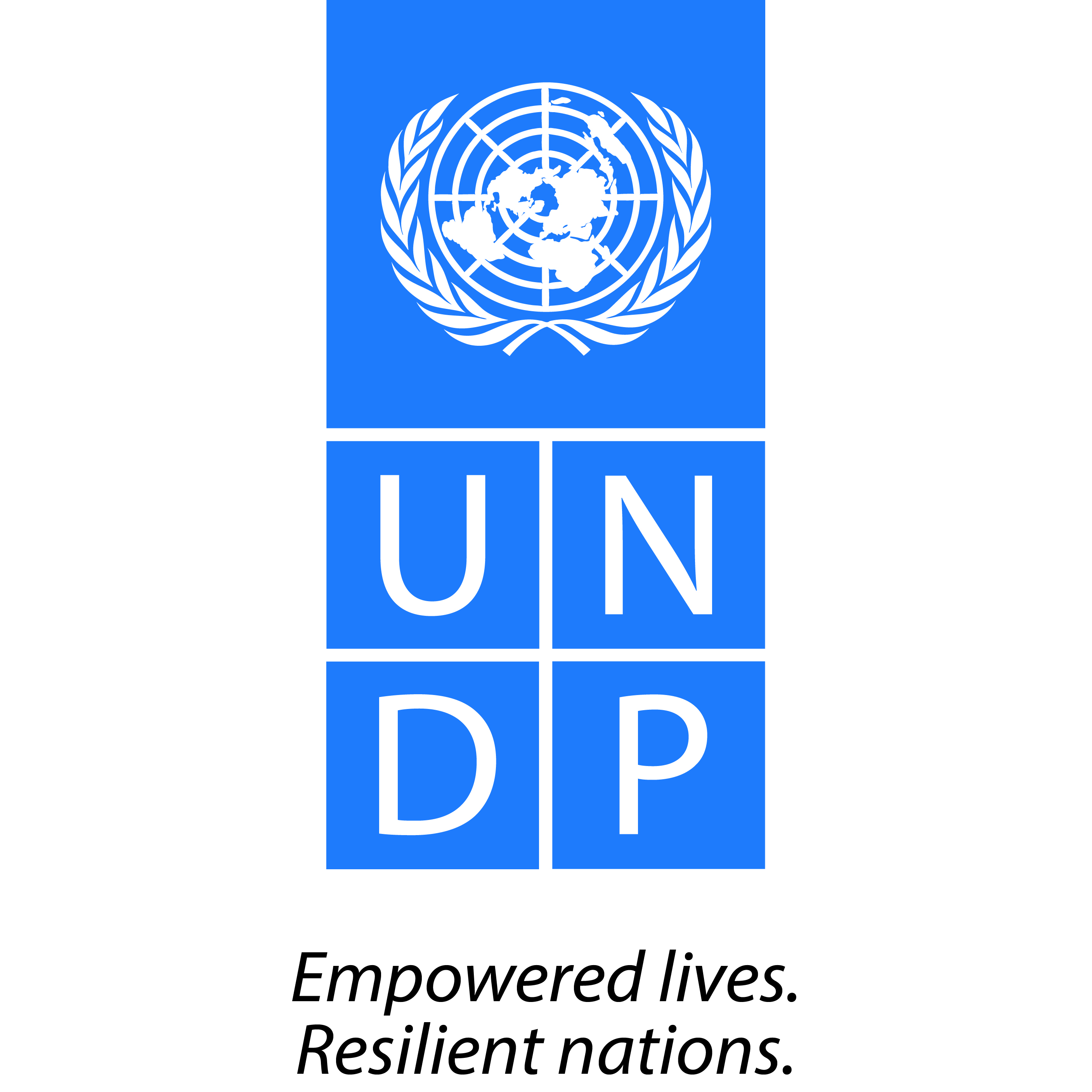 UNDP Regional Service Centre for Africa 