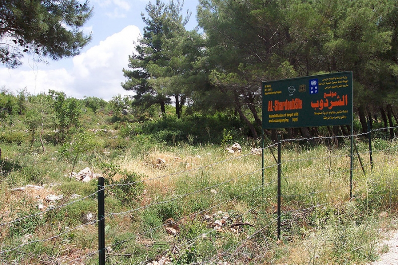 Programme sous-r&eacute;gional de lutte contre la d&eacute;sertification en Asie occidentale (PASR) r&eacute;habilitation des parcours d&eacute;grad&eacute;s