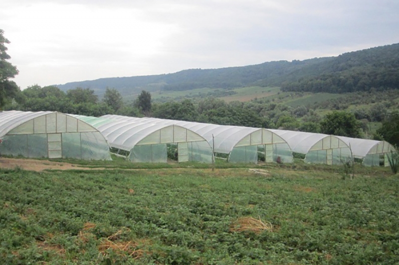 Passage &agrave; l&amp;#39;agriculture de conservation pour renforcer la r&eacute;silience aux changements climatiques