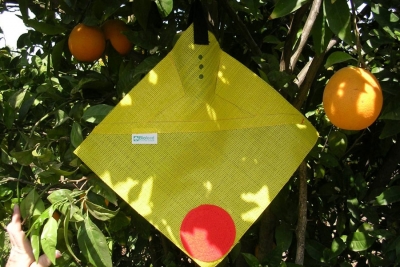 FreeDome par Biofeed: Fruit Fly "Iron Dome"