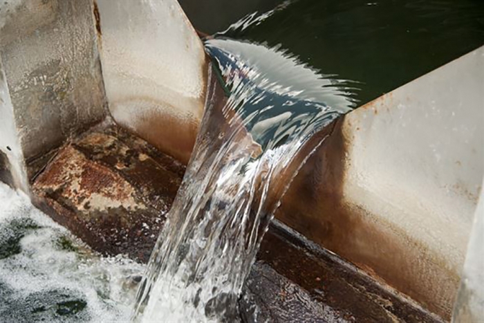 Пионерский проект по использованию Triple-Treated Wastewater в производстве кормов