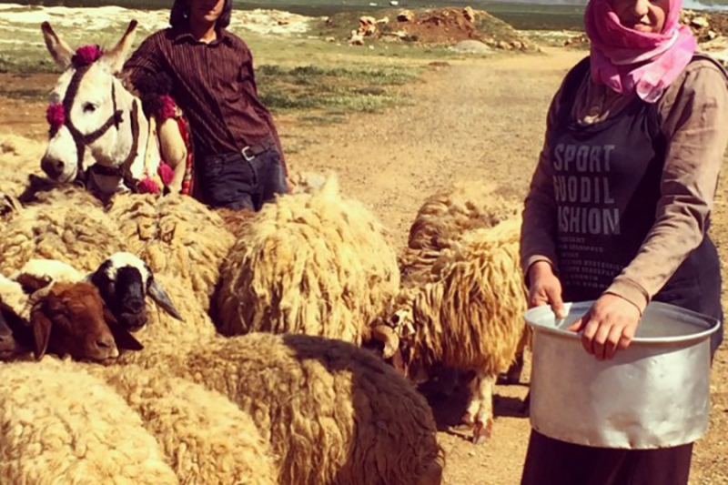 Al-Hima System: a Mean of Women Empowerment