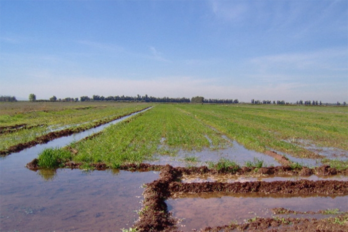 Деградация ирригация