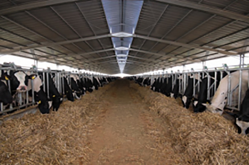 The National System of Identification and Animal traceability (SNIT)