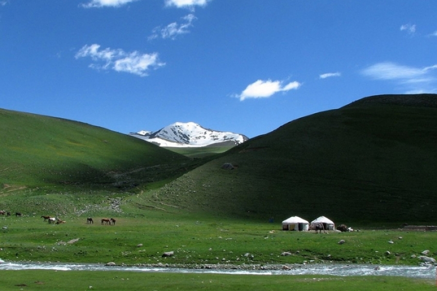 Preserving the Ecosystems of Mountainous Pastures in the Kyrgyz Republic
