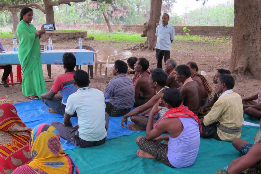 Сеть знаний об изменении климата в сельском хозяйстве Индии - CCKN-IA