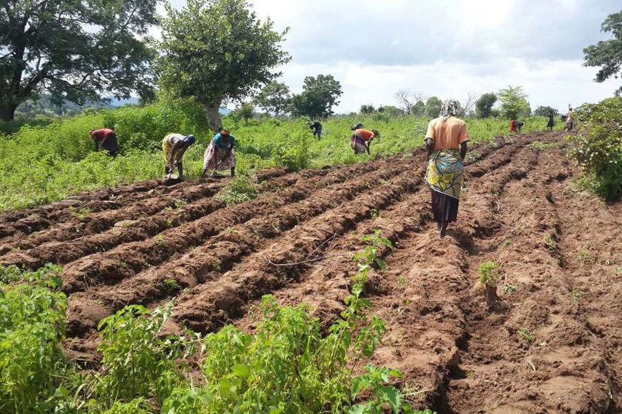 Flying Knapsack System &ndash; Fikapsy