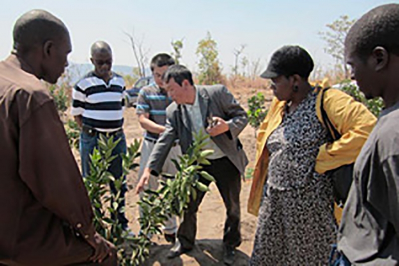 South-South Cooperation at work in Malawi.