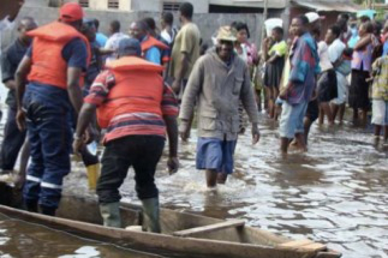 Renforcement du r&ocirc;le de conservation du syst&egrave;me national d&amp;#39;aires prot&eacute;g&eacute;es (PA) du Togo