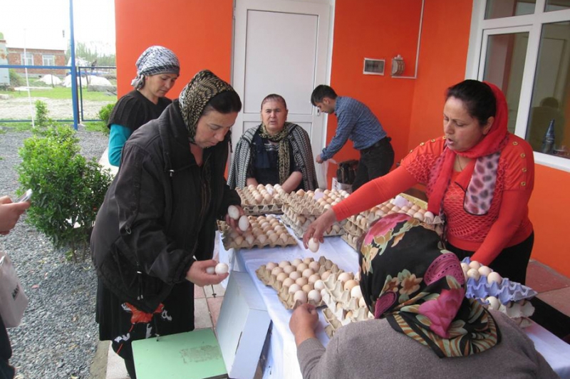 Azerbaijan Rural Investment Project / AzRIP