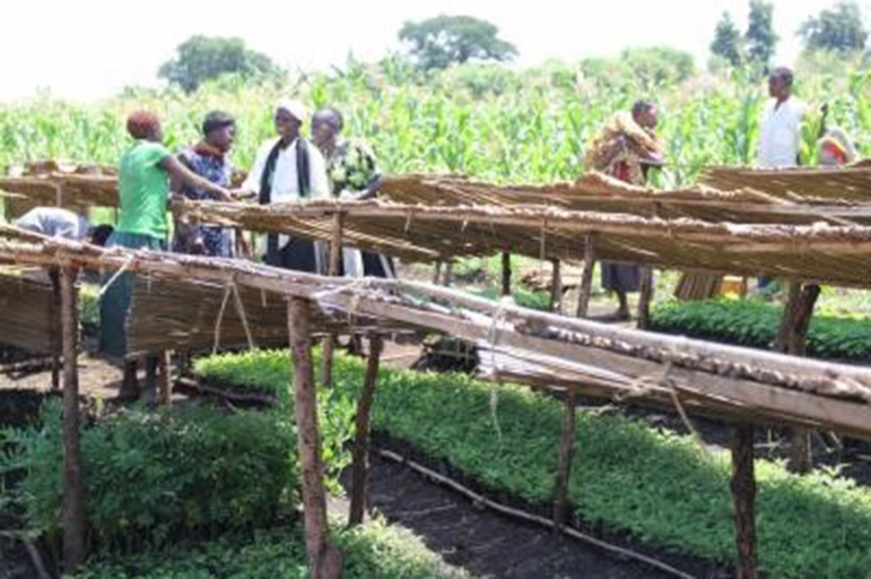 البرنامج العالمي للتكيف القائم على النظم الإيكولوجية في الجبال