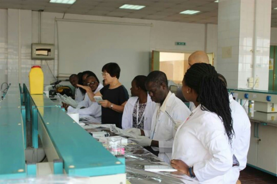 Construindo Resili&ecirc;ncia &agrave;s Doen&ccedil;as Infecciosas: Diagn&oacute;stico Cl&iacute;nico e Laboratorial