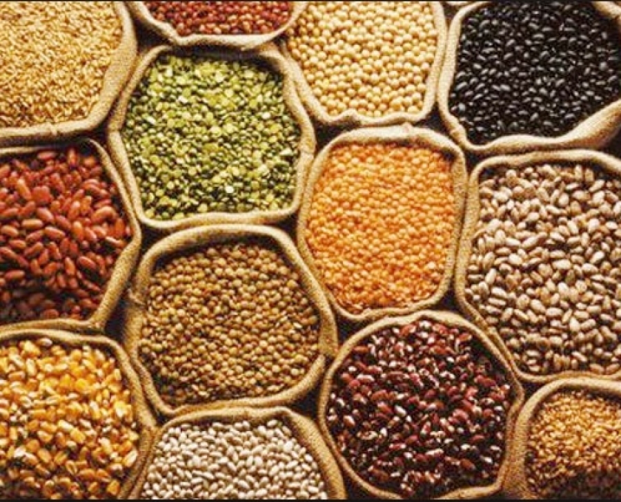 Renforcement des capacit&eacute;s pour le d&eacute;veloppement industriel en &Eacute;thiopie - &Eacute;laboration d'un coefficient standard d'entr&eacute;es-sorties pour un produit d'exportation &eacute;thiopien