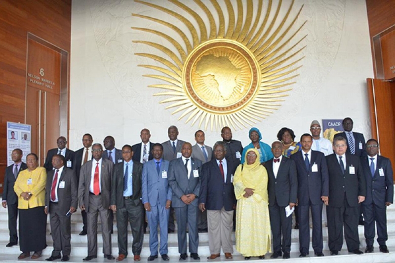 Primeira Reuni&atilde;o do Comit&ecirc; T&eacute;cnico Especializado em Ci&ecirc;ncias e Tecnologia da Educa&ccedil;&atilde;o (STC-EST)
