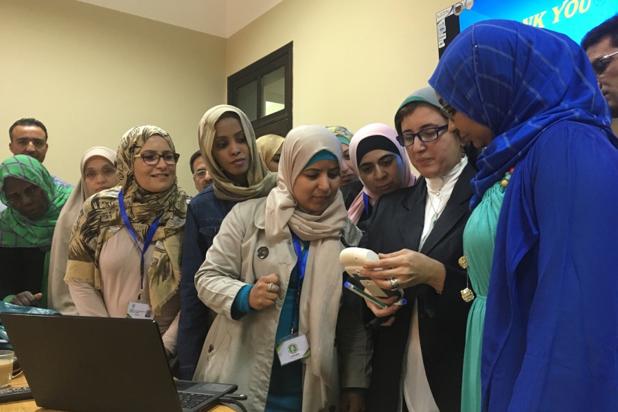 Solu&ccedil;&otilde;es de Aprendizagem M&uacute;tua no Controle de Infec&ccedil;&atilde;o Hospitalar Cruzada para Pa&iacute;ses do Oriente M&eacute;dio