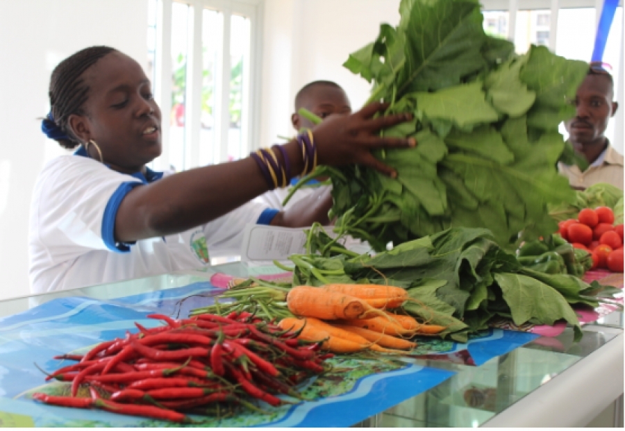 ЦУР Мобилизация частного сектора - система рынка труда