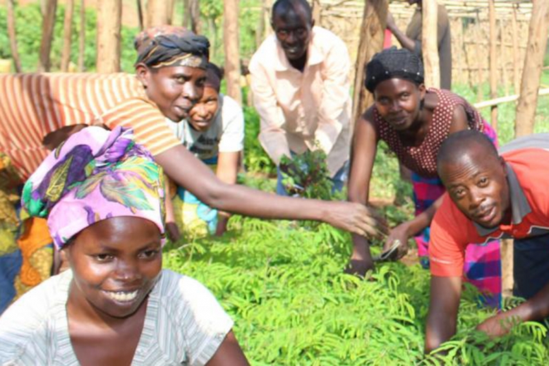 Building a Green Economy through Rwanda&rsquo;s Green Fund