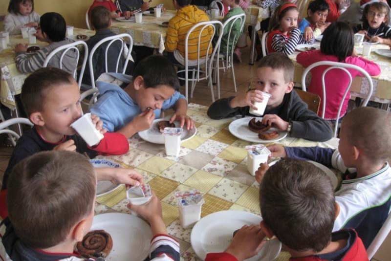 برنامج المدرسة للحليب في المجر