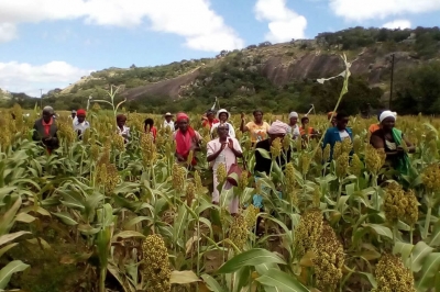 The Zimbabwe Resilience Building Fund
