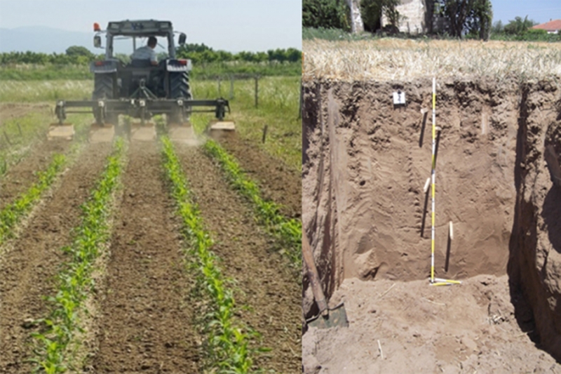 PPP dans l'agriculture: Direction g&eacute;n&eacute;rale de la recherche et des politiques agricoles (TAGEM)