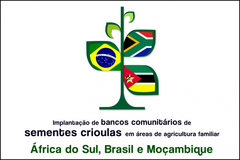 Bancos comunit&aacute;rios de sementes crioulas para a agricultura familiar