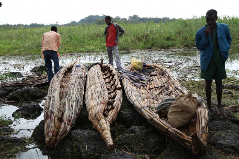 شبكة بناء قدرات حوض النيل (نبكبن) شبكة المعرفة: مصر