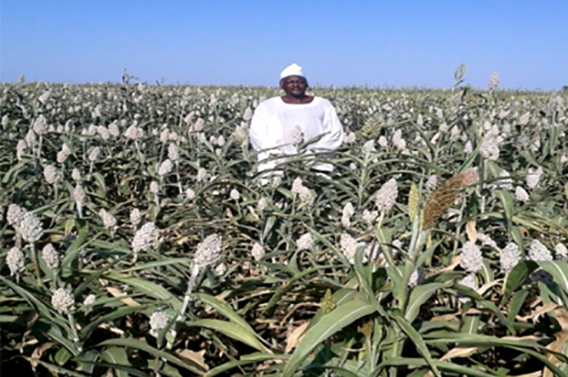 Agriculture et r&eacute;colte de l'eau