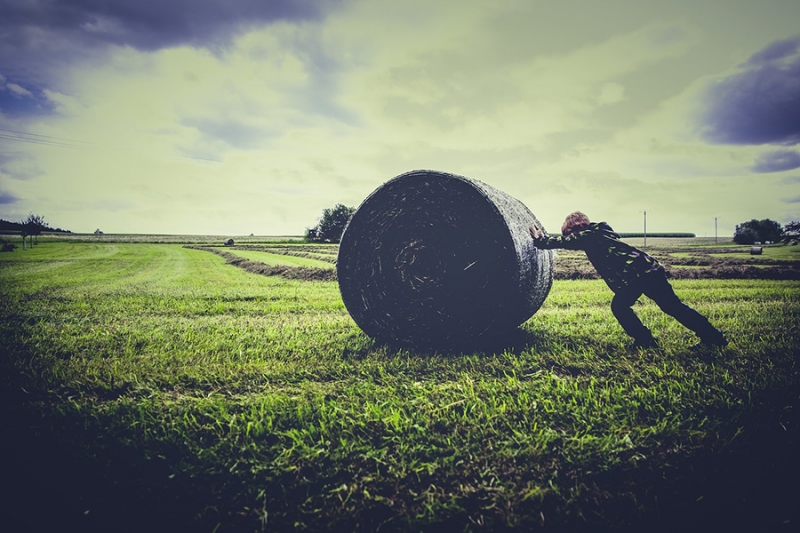 Регистрация семейных ферм и доступность рынков по коротким сетям питания