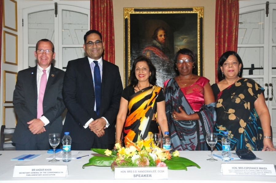 Int&eacute;gration de la dimension de genre dans les politiques et les programmes de la l&eacute;gislature et de l'ex&eacute;cutif