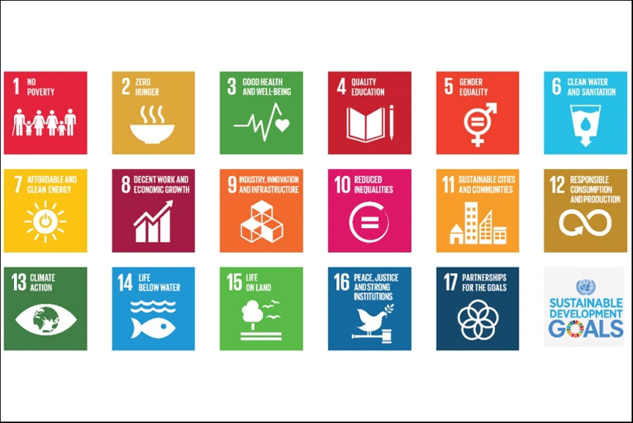 Fundo de Capacita&ccedil;&atilde;o de SDG