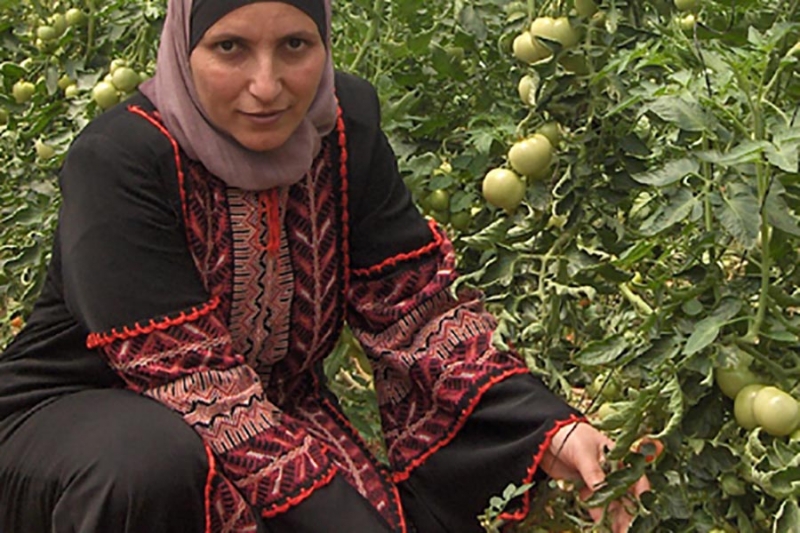 Role of Cooperatives in Promoting Young Female Employment