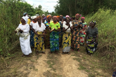 Support for the formulation of National Adaptation Plans (NAPs) to the adverse effects of climate change (CC)