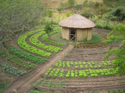 Apoio ao desenvolvimento do Programa PAIS (Produ&ccedil;&atilde;o Agroecol&oacute;gica Integrada e Sustent&aacute;vel) no Senegal