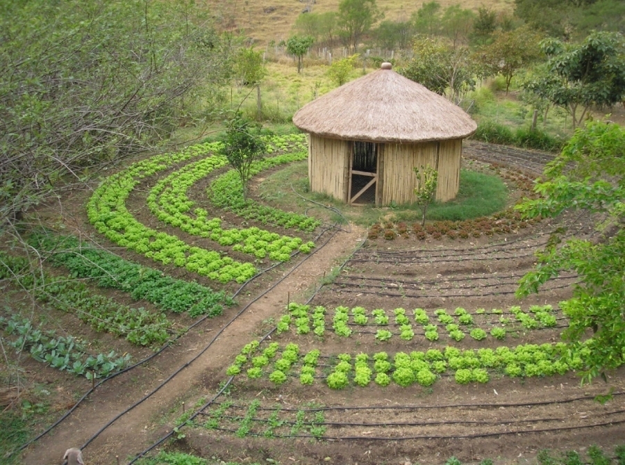 Apoio ao desenvolvimento do Programa PAIS (Produ&ccedil;&atilde;o Agroecol&oacute;gica Integrada e Sustent&aacute;vel) no Senegal
