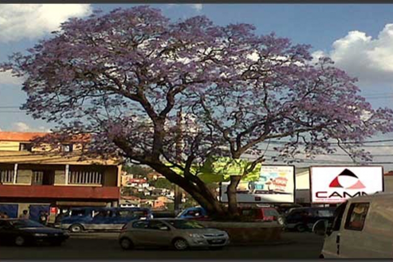 Обмен опытом и передовой практикой между арбитражными и посредническими центрами Мадагаскара и Буркина-Фасо